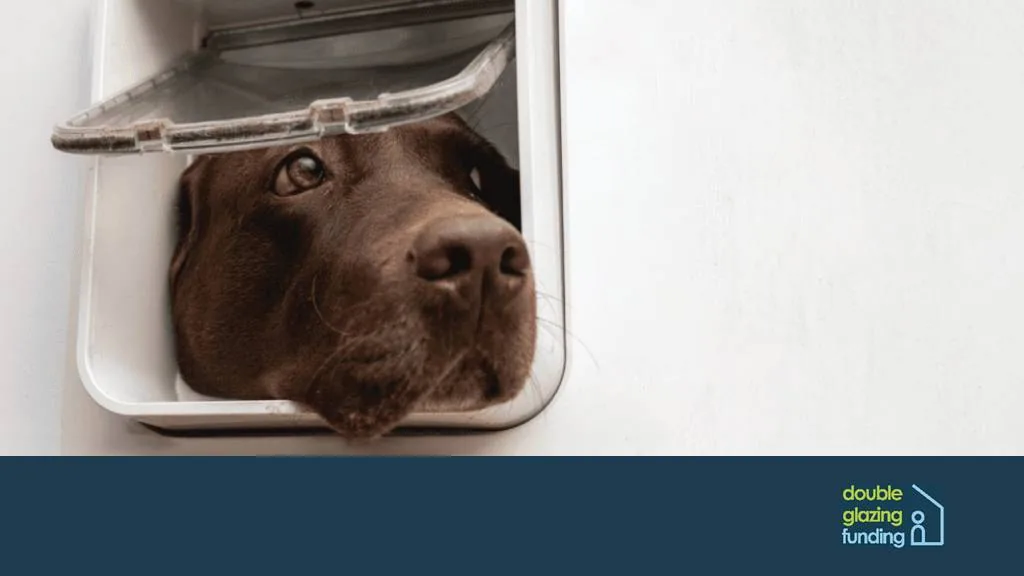 Dog looking out of a dog flap fitted in a door