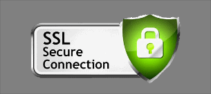 Secure site logo