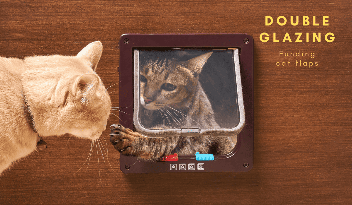 Install dog or cat flap in a glass door, installing doggie door double glazing